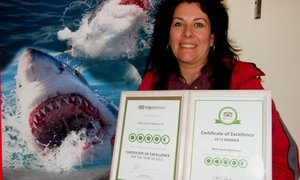  White Shark Adventures se 2de 